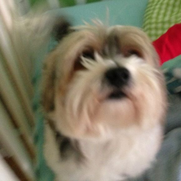 Inga Barbarash - Poshmark Profile Picture of Inga Barbarash (@joshua143) on Poshmark