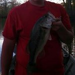 Profile Picture of wade (@wadeparsons) on Instagram