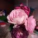 Profile Picture of Valerie Shackelford (@Valerie-Shackelford) on Facebook