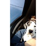 Profile Picture of Brian 💯 (@brian_wander) on Instagram