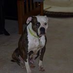 Profile Picture of Kevin Runnels (@runnelsk) on Instagram