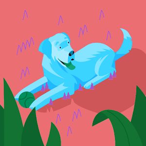 KAS - Tiktok Profile Picture of KAS (@kimberlyschindele) on Tiktok