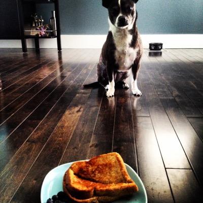 Profile Picture of Waffles (@Stephen_Wenger) on Twitter