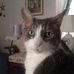 Profile Picture of Janet Steffy (@janet.steffy.946) on Facebook