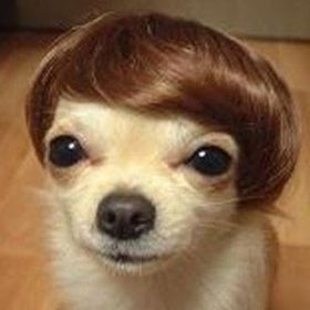 Profile Picture of Andrew McHugh (@andmchugh) on Pinterest