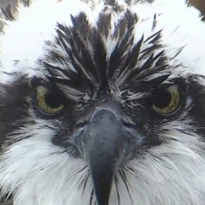 Profile Picture of Brenda Cunningham (@BrendaC02333333) on Twitter