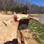 Profile Picture of Alex Lanning (@lanning.alex) on Instagram