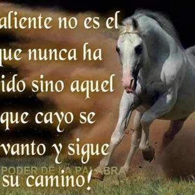 Profile Picture of Fabio Robles (@fabio2men) on Twitter