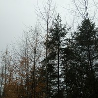 Profile Picture of Matthew Kroeker (@matthew-kroeker-5) on Quora