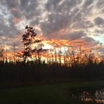 Profile Picture of Eric Held (@eric.held.96) on Instagram
