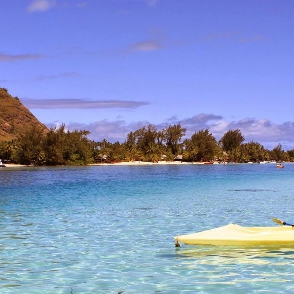 Profile Picture of Rebekah Reitler (@rjreitler) on Poshmark