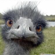 Profile Picture of Trevor Conners (@trevor.conners.3) on Facebook