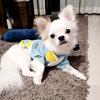 Profile Picture of Nitikarn 4289 (@nitikarn4289) on Tiktok