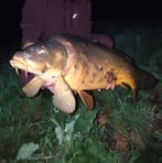 Profile Picture of Steven Peche (@Steven-Peche) on Facebook