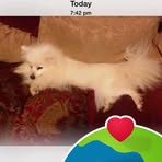 Profile Picture of Karyn Garrity (@karyn.garrity) on Facebook