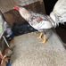 Profile Picture of James Meche (@james.meche.73) on Facebook