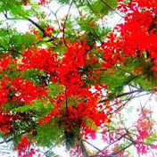 Profile Picture of KM HOSSAIN  (@user-bc2ts8bl3c) on Youtube