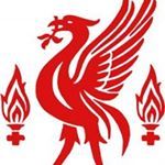 Marc Daigle - Instagram Profile Picture of Marc Daigle (@belselrceuel) on Instagram