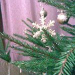 Profile Picture of Nikolay Kuznetsov (@nikolay.kuznetsov.330) on Instagram