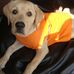 Profile Picture of Leo Jolly (@leo.jolly.39) on Facebook