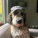 Profile Picture of Craig Mustard (@cmustard123) on Instagram