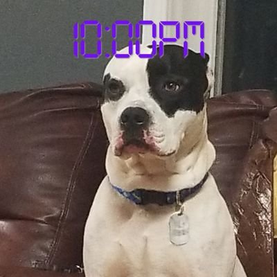 Profile Picture of Cassandra Velazquez- (@chaparatuamor) on Twitter