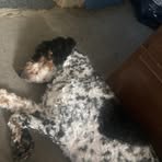 Profile Picture of Caleb Sliger (@caleb.sliger.9) on Facebook