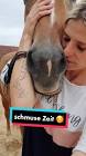 Profile Picture of   welche Reitweise reitet... (@lissytagebuch) on Tiktok