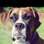Profile Picture of Kyle Geist (@kyle_geist_33) on Instagram