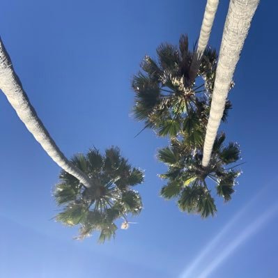 Profile Picture of Nick Frattini (@nick_frattini) on Twitter