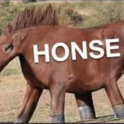 Profile Picture of Dylan Maguire (@dmaguire_5) on Twitter