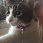 Profile Picture of jon weir (@fufuberry) on Instagram