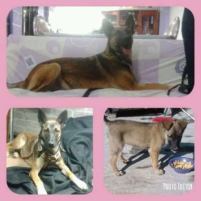 Profile Picture of Luciano Arroyo (@LucianoArroyo19) on Twitter