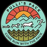 Profile Picture of Michael Pulli (@michael.pulli) on Instagram