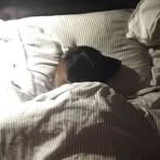 Profile Picture of Michał Pawlak (@Michał-Pawlak) on Facebook