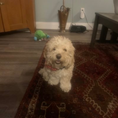 Profile Picture of Ian Monteith (@IanMonteith5) on Twitter