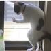 Profile Picture of Nigel Graham (@chilly1000) on Pinterest