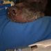 Profile Picture of James Mullen (@james.mullen.7169) on Facebook