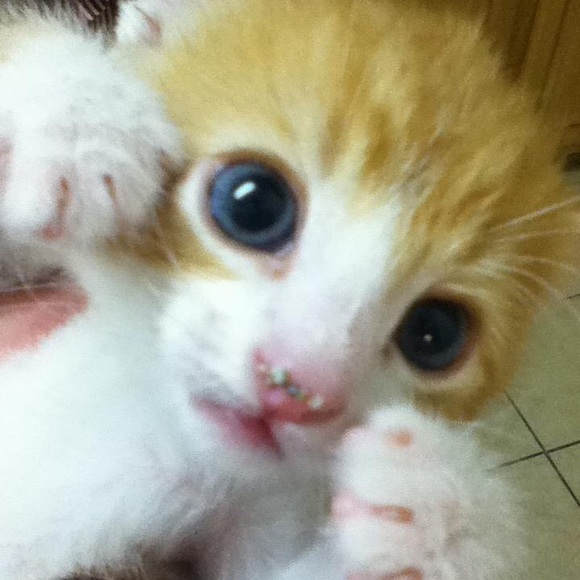 Profile Picture of Jade Kennedy (@oatmealmeallove) on Poshmark