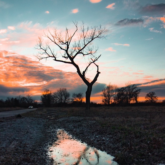 Profile Picture of Erik Roman (@erik713) on Poshmark