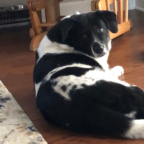 Profile Picture of Nancy Hogan (@nancyhogan30) on Poshmark