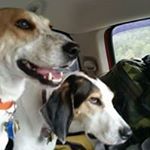 Profile Picture of Jennifer Soderquist Chilton (@chiltonjennifer) on Instagram
