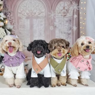 Profile Picture of Jackson, Octavius, Drizella, Anastasia (@cinderella.pack) on Instagram