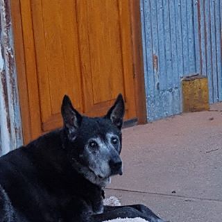 Profile Picture of Thomas Risk (@thomas.risk.39) on Facebook