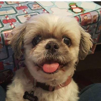 Profile Picture of ChrisHoy (@ChrisHoy12) on Twitter