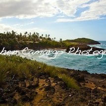 Profile Picture of Stephen Camargo (@77Films) on Twitter