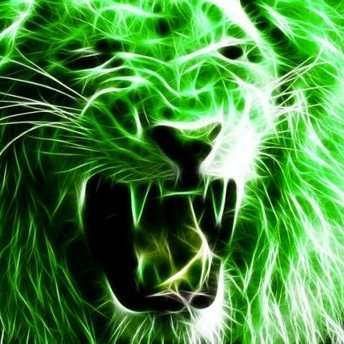 Profile Picture of Ian Dsouza (@dsouza_ian) on Twitter