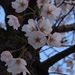 Profile Picture of Ngo Evelyn (@ngoevelyn) on Pinterest