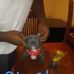 Profile Picture of Jermaine Dugas (@boou.dug) on Facebook