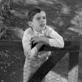 Profile Picture of Calvin Baker Harrison Twitter